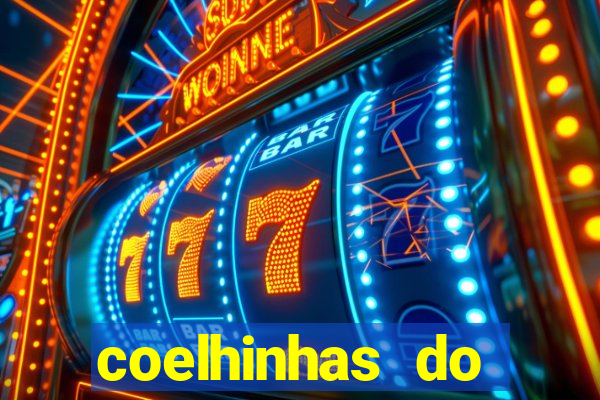 coelhinhas do brasil recife